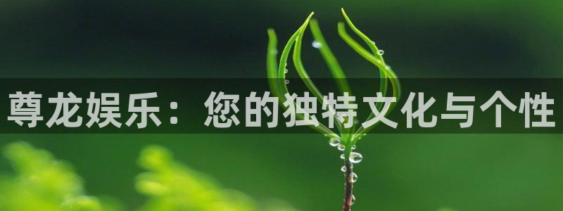 先锋娱乐平台：尊龙娱乐：您的独特文化与个性