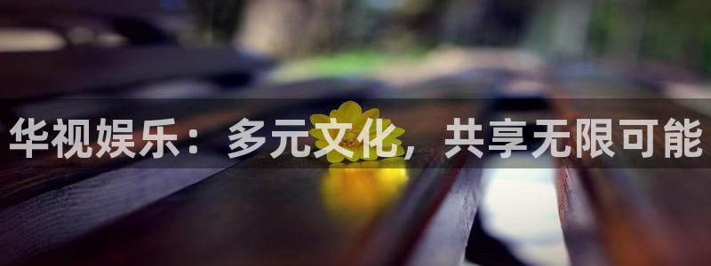 先锋娱乐平台：华视娱乐：多元文化，共享无限可能