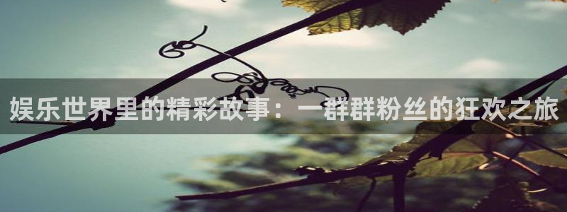 先锋娱乐平台：娱乐世界里的精彩故事：一群群粉丝的狂欢之旅