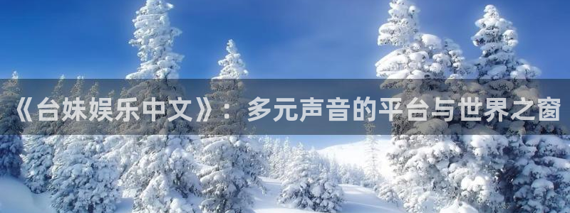 先锋娱乐公司：《台妹娱乐中文》：多元声音的平台与世界之窗