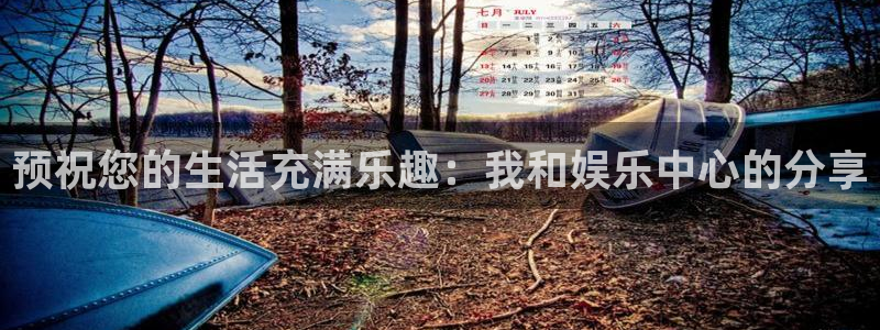 先锋娱乐平台：预祝您的生活充满乐趣：我和娱乐中心的分享