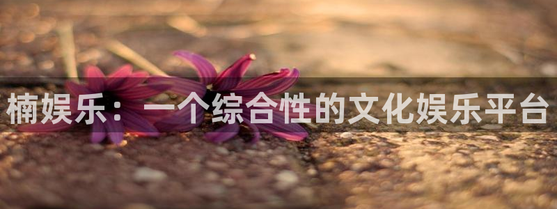 先锋娱乐公司：楠娱乐：一个综合性的文化娱乐平台