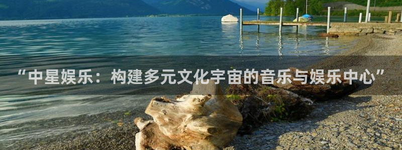 先锋娱乐平台：“中星娱乐：构建多元文化宇宙的音乐与娱乐中心”