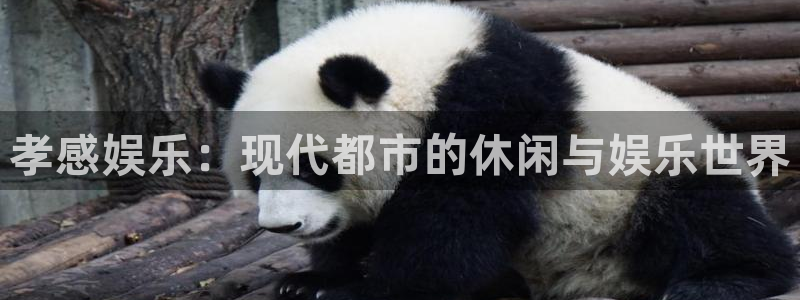 先锋娱乐平台：孝感娱乐：现代都市的休闲与娱乐世界