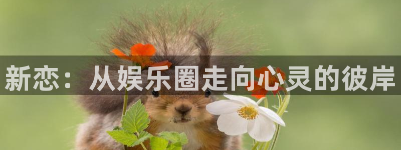 先锋娱乐平台：新恋：从娱乐圈走向心灵的彼岸